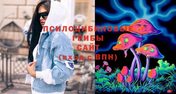 гидра Вязники