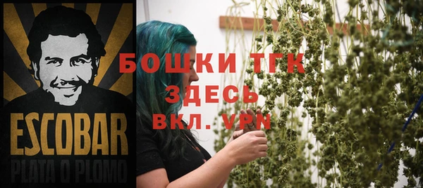 гидра Вязники