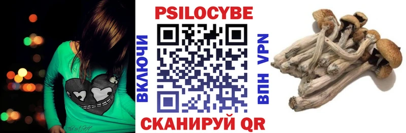 Галлюциногенные грибы MAGIC MUSHROOMS  Закаменск 